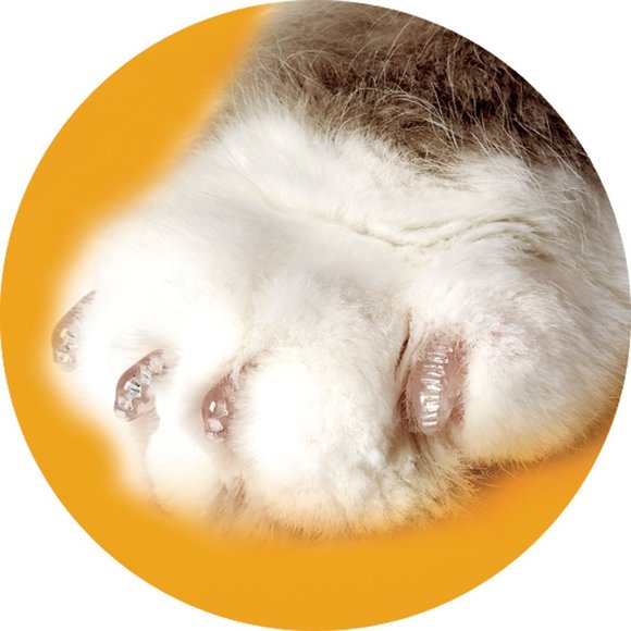 NIB SoftClaws (SoftPAWS) for Cats in CLEAR - Picture 3 of 11